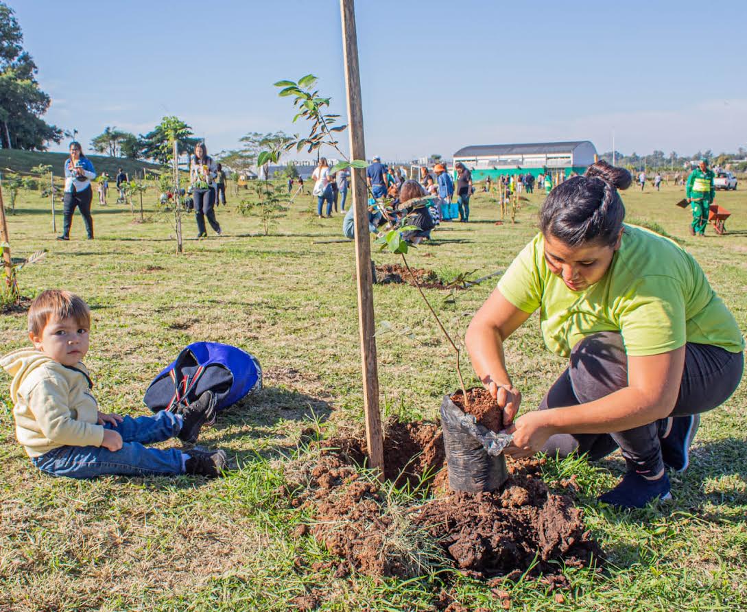 Posadas Sustentable Más de 500 nuevos árboles se plantaron por el Día